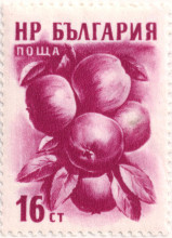 16 стотинки