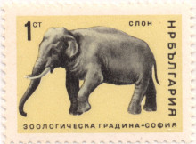 1 стотинка