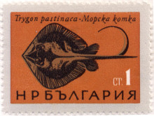 1 стотинка