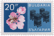 20 стотинки