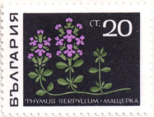 20 стотинки
