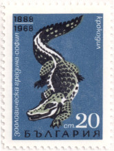 20 стотинки