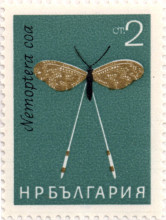 2 стотинки