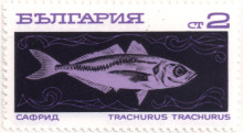 2 стотинки сафрид