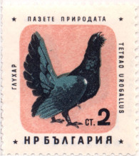 2 стотинки Глухар