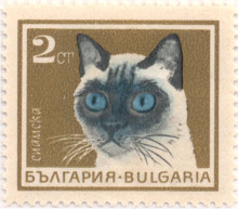 2 стотинки