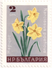 2 стотинки
