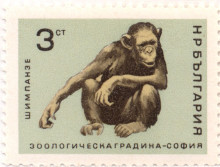 3 стотинки