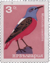 3 стотинки