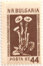 44 стотинки