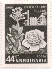 44 стотинки тъмнозелена