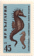 45 стотинки