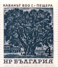 4 стотинки