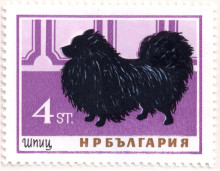 4 стотинки