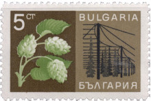 5 стотинки