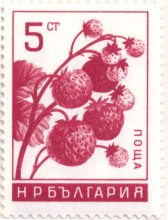 5 стотинки