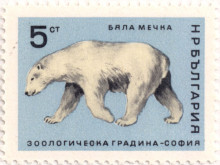 5 стотинки