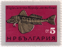 5 стотинки