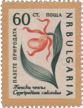 60 стотинки