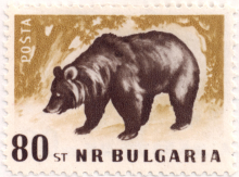 80 стотинки
