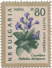 80 стотинки