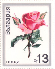 13 стотинки