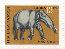 13  стотинки