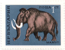 1 стотинка