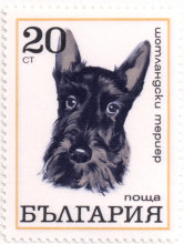 20 стотинки