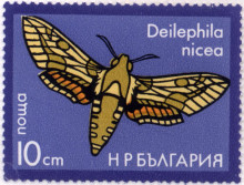 10 стотинки