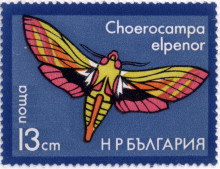 13  стотинки
