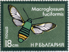 18 стотинки