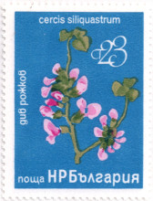 23 стотинки