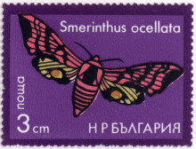 3 стотинки
