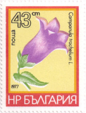 43 стотинки