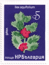 5 стотинки