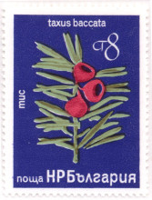 8 стотинки