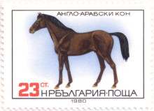 23 стотинки