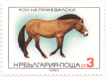 3 стотинки