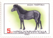 5 стотинки