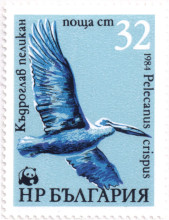 32 стотинки