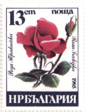 13  стотинки