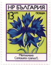 13  стотинки