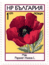 1 стотинка
