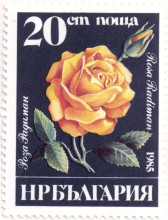 20 стотинки