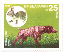 25 стотинки