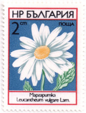 2 стотинки