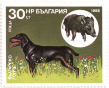 30 стотинки