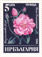 5 стотинки
