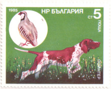 5 стотинки